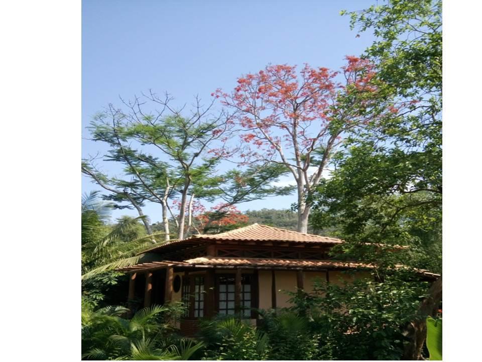 Paraty Villa D'Agua Temporada מראה חיצוני תמונה